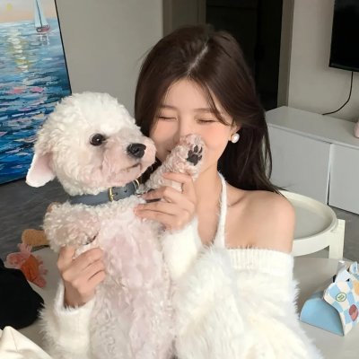 狗狗的疯狂假期